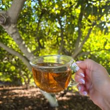 Avocado Tea Party With Five Blends | Variety tea Pack | Peach Tea | Lemon Tea | Natural Avocado Leaf Tea | Chamomile Tea | Black Tea | Great Gift Idea