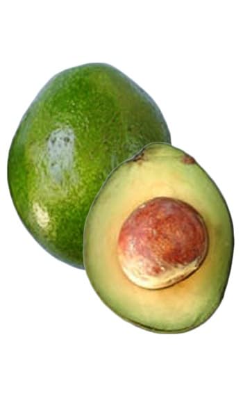 Avocado M Tee 1 ft
