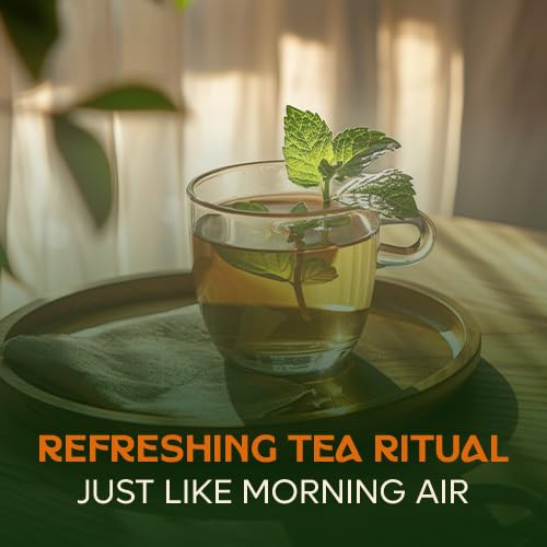 DALAMHARI Bitter Melon Tea 30T | Inulin Rich Sugar Balance & Colon Cleanse Functional Tea | 100% Korean Cerasee Momordica Charantia | Premium Hand Roast, Cold Brew Ready Triangle Teabags