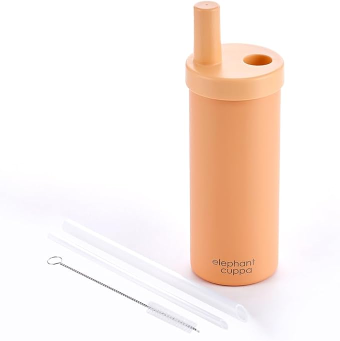 Insulated Tumbler S with Two Straws, Ideal for Office, Travel, Stainless Steel Vacuum Insulated, Excellent Temperature Preservation, Leak-Proof, Durable, 24 oz, Peach