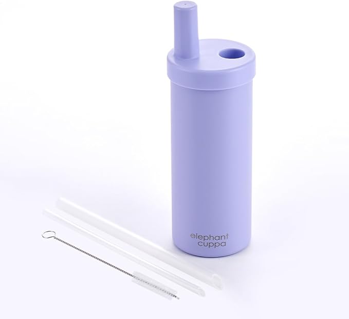 Insulated Tumbler S with Two Straws, Ideal for Office, Travel, Stainless Steel Vacuum Insulated, Excellent Temperature Preservation, Leak-Proof, Durable, 24 oz, Purple