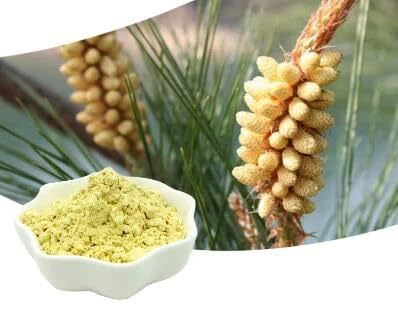 USA Organic Pine Pollen Powder – 100% Pure, Wild-Harvested Pine Pollen, Natural Herbal Powder, No Additives or Preservatives, Made in the USA (200 Gram)