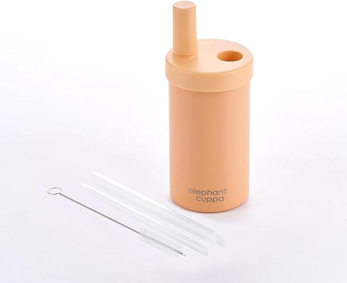 Insulated Tumbler S with Two Straws, Ideal for Office, Travel, Stainless Steel Vacuum Insulated, Excellent Temperature Preservation, Leak-Proof, Durable, 17 oz, Peach