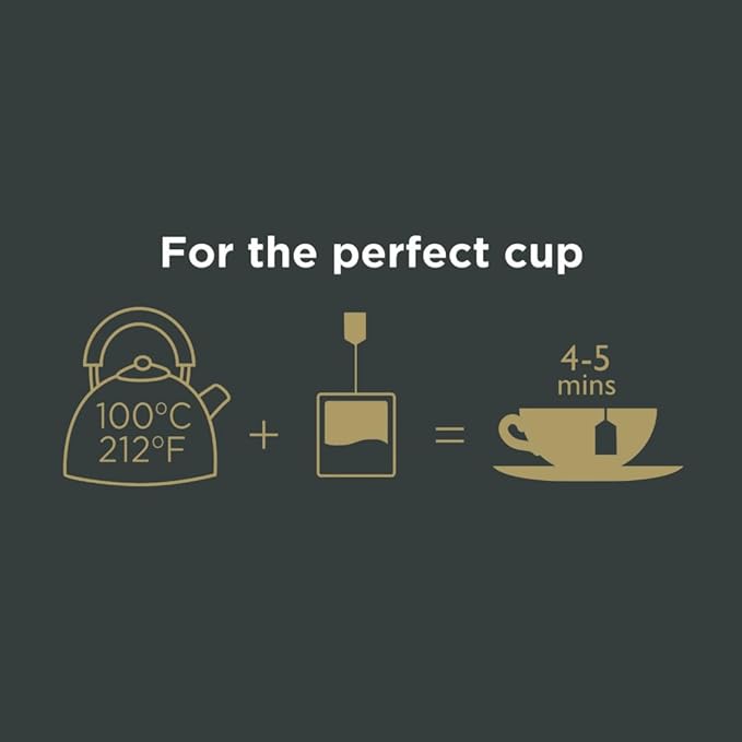 Taylors of Harrogate Blackberry & Raspberry, Herbal Tea, Individually Wrapped Bags, 100 Count (Pack of 1), Sweet, Tart & Tangy, Caffeine-Free, Enjoy Hot or Iced, 100 Teabags