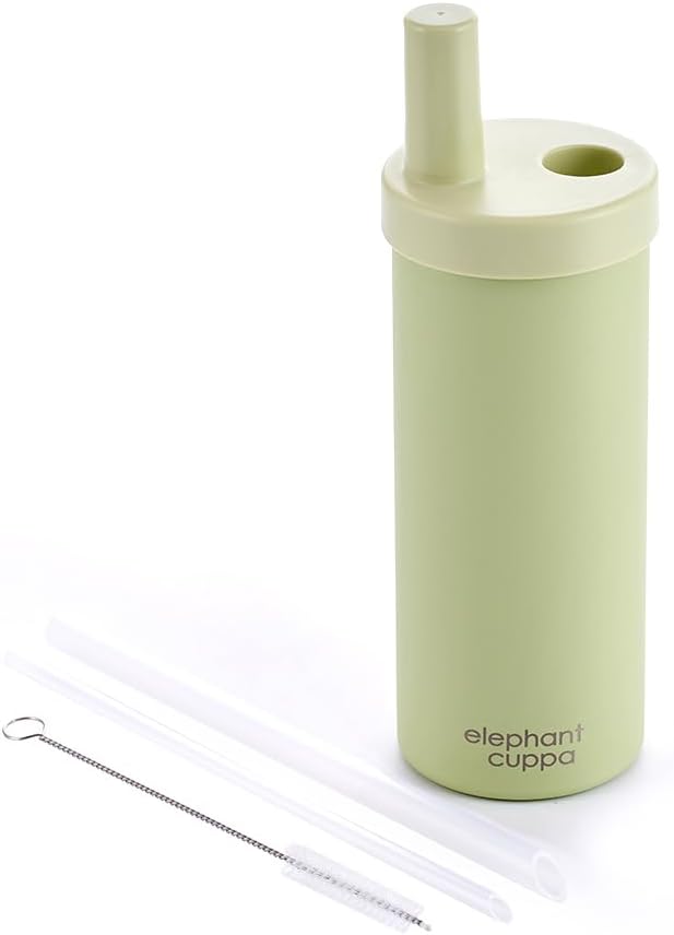 Insulated Tumbler S with Two Straws, Ideal for Office, Travel, Stainless Steel Vacuum Insulated, Excellent Temperature Preservation, Leak-Proof, Durable, 24 oz, Green