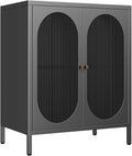 Small 2 Transparent Door Metal Storage Side Buffet Cabinet for Bed Room,Living Room,Entryway,Hallway,Home,Hotel,Office,Garage,Kitchen,1 Removable Shelf. (Transparent Door, Black)