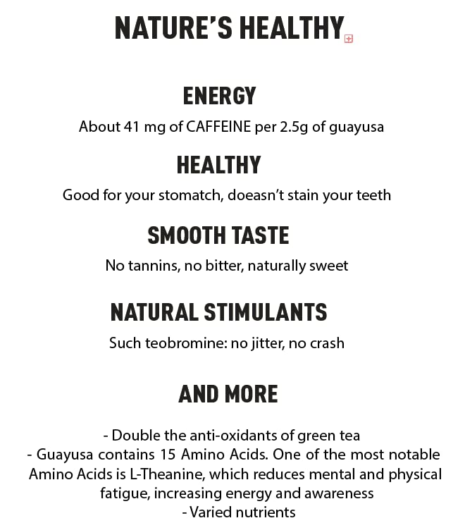 Pacha Ancient Energy Guayusa Tea | Green Guayusa | Traditional Guayusa | Loose leaf | Tea Bags | Energy Tea | l-theanine + caffeine | clean energy drink | Alternative to Yerba Mate, Coffee, and Green Tea (100 Count, Guayusa)