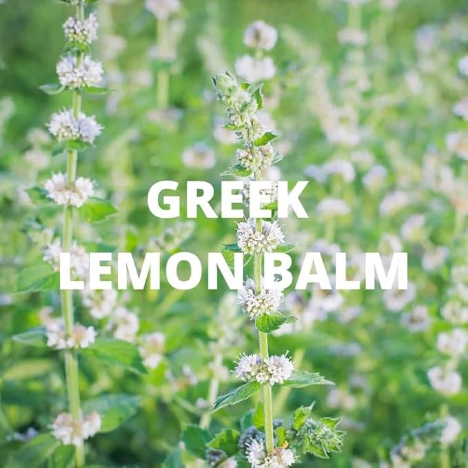 Calm Tea | Loose Herbal Tea for Relaxation | Lavender Buds, Chamomile Flowers, Lemon Balm Leaves | 100% Wild Crafted, Caffeine Free, Natural, Earthy Flavor | 30G (1.1OZ)