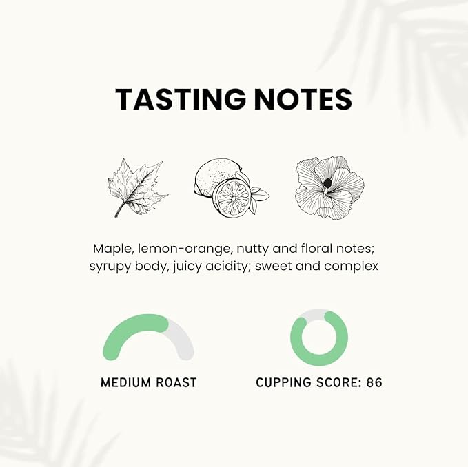 Canopy Point Coffee Guatemala medium air roasted coffee beans - whole bean & ground, specialty small batch roasted to order with maple & nut aroma, unique gourmet pour over (Whole Bean Bulk: 5lbs)