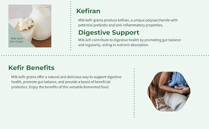 Original Live Milk Kefir Grains Starter Kit for Almond, Whole or Coconut Milk with Active Probiotic Cultures, Jar, Fermentation Lid, Spoon, Thermometer & Strainer by The Spirit Of The Forest
