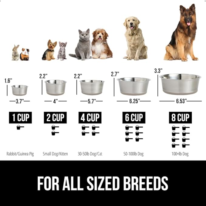 GORILLA GRIP Set of 2 Dog Bowls, Heavy Duty Metal Food and Water Bowl for Feeding Dogs and Cats, Dishwasher Safe, Rust Resistant Stainless Steel, BPA Free Rubber Base, Holds 2 Cups (16 fl oz), Beige