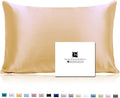 Ravmix Silk Pillow Cases with Zipper, 21momme Mulberry Silk Pillowcase for Hair Skin Health, Soft Smooth Breathable Cool Pillow Cover for Beauty Sleep with Gift Box 1PC(Queen 20"x30", Gold)