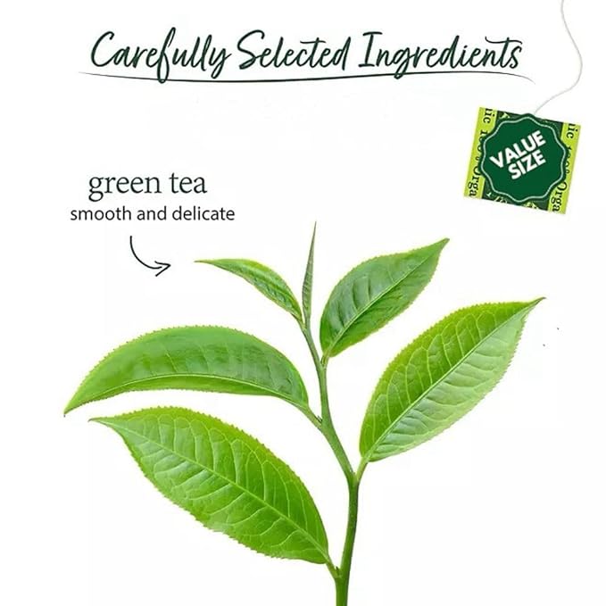 Bigelowwss Premium Organic Green Tea 160 ct. w/A Storage Bag