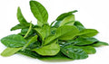 Fresh Kaffir Lime Leaves from the USA – 100% Pure, Wild-Harvested Herbal Loose-Leaf, Natural Aroma, Whole Natural Leaves for Thai Cuisine, Grown and Packed in the USA (100 Leaves)