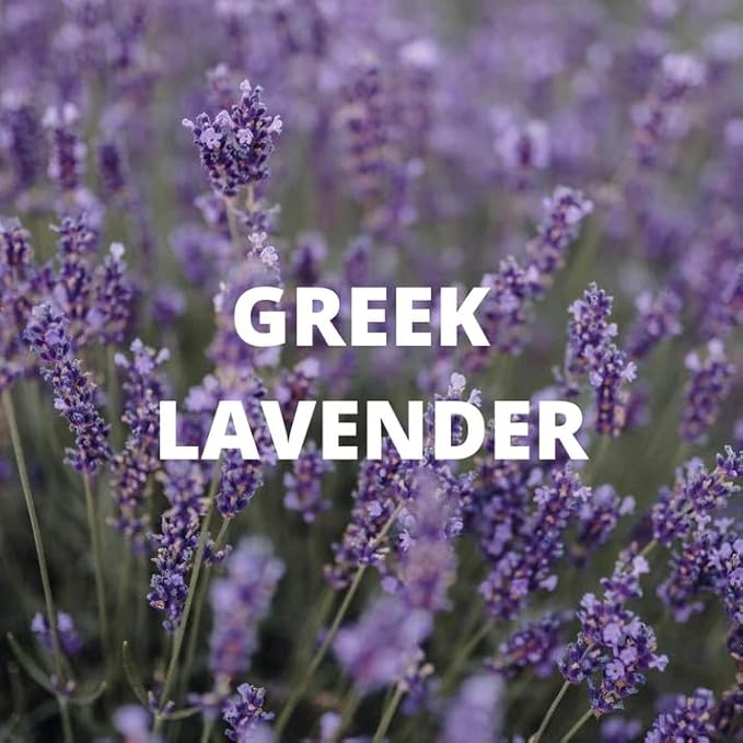 Calm Tea | Loose Herbal Tea for Relaxation | Lavender Buds, Chamomile Flowers, Lemon Balm Leaves | 100% Wild Crafted, Caffeine Free, Natural, Earthy Flavor | 30G (1.1OZ)