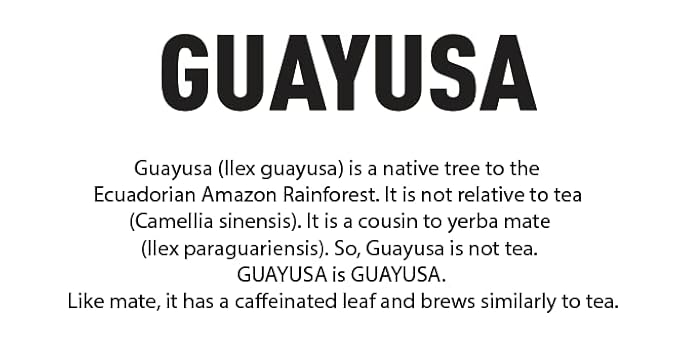 Pacha Ancient Energy Guayusa Tea | Green Guayusa | Traditional Guayusa | Loose leaf | Tea Bags | Energy Tea | l-theanine + caffeine | clean energy drink | Alternative to Yerba Mate, Coffee, and Green Tea (100 Count, Guayusa)