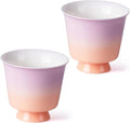 KAMMAK Ceramic Tea Cups Small, Cute Vintage Coffee Cup Set of 2, Porcelain Teacups Espresso Mug, 2.3oz Hand Painted Chinese Afternoon Tea Party Mugs, Birthday Gift for Women Men, Xingchun Flow