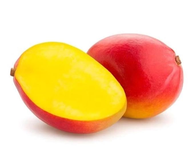 Mango Palmer Tropical Tee 10-24 in