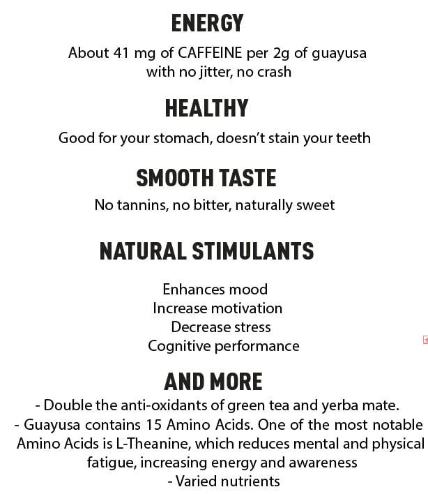 Pacha Ancient Energy Guayusa Tea | Green Guayusa | Traditional Guayusa | Loose leaf | Tea Bags | Energy Tea | l-theanine + caffeine | clean energy drink | Alternative to Yerba Mate, Coffee, and Green Tea (50 Count, Guayusa)