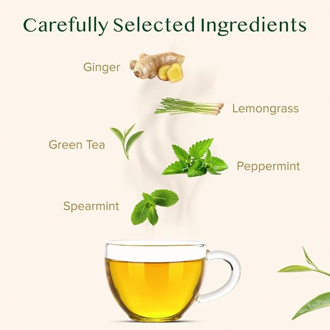 VAHDAM, Ginger Mint Green Tea Loose Leaf (50+ Cups, 3.5oz) Blend Of Ginger Tea & Mint Tea | Pure Green Tea Leaves | High Elevation Grown | Vacuum Sealed