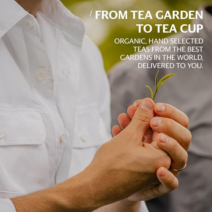 Grace Farms ROOIBOS CHAI ORGANIC ICED TEA (Twelve 1qt. Brew Bags, 3 Gallons) | Refreshing and Spiced, Naturally Sweet Sugar-Free | Easy Cold Brew