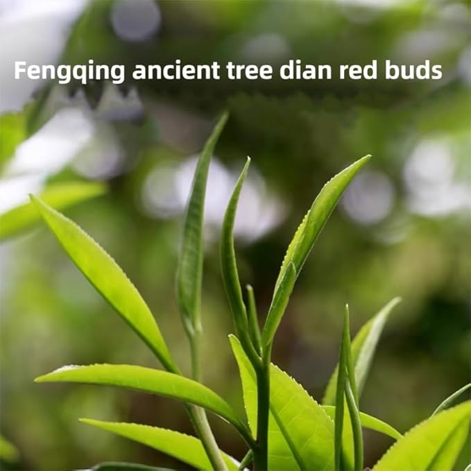 Yunnan Golden Special - Black Loose Leaf Tea - Best Chinese Black Tea - Organically Grown - Perfect Morning Tea - 150g (5.3-ounce)