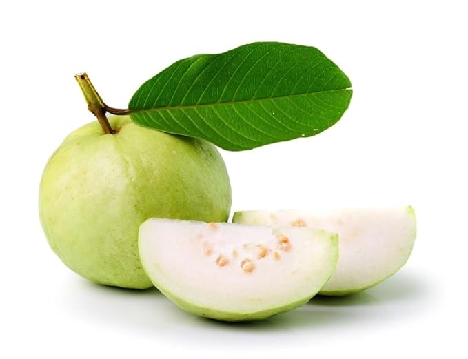 White Guava Tee 9-11 in