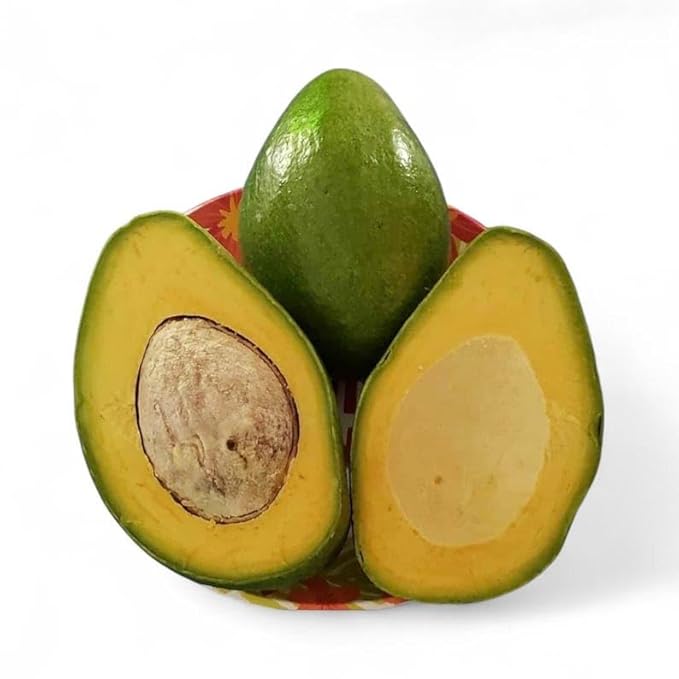 Avocado C Tee 1ft