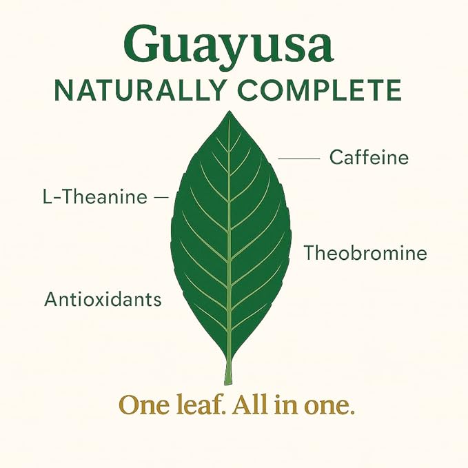 Pacha Ancient Energy Guayusa Tea | Green Guayusa | Traditional Guayusa | Loose leaf | Tea Bags | Energy Tea | l-theanine + caffeine | clean energy drink | Alternative to Yerba Mate, Coffee, and Green Tea (16oz, Guayusa)