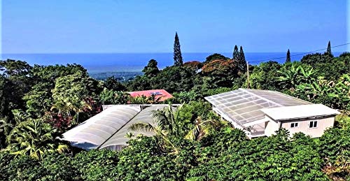 100% Kona Coffee – GROUND, Dark roast, Single estate gourmet coffee, 16 ounces, Ships direct from Domain Kona, farm fresh