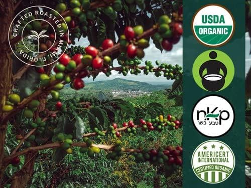 Artizan Coffee USDA Organic Whole Bean Coffee | Guatemala Single Origin | Dark Roast | 5 lbs | Roasted in South Florida