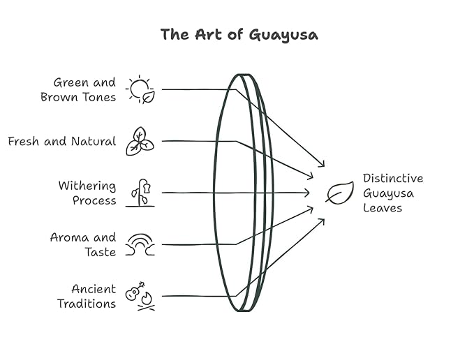 Pacha Ancient Energy Guayusa Tea | Green Guayusa | Traditional Guayusa | Loose leaf | Tea Bags | Energy Tea | l-theanine + caffeine | clean energy drink | Alternative to Yerba Mate, Coffee, and Green Tea (16oz, Guayusa)