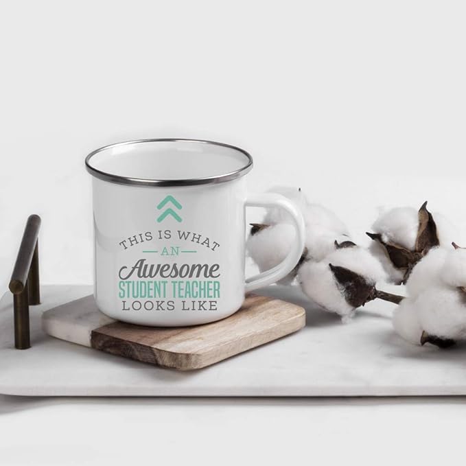 Andaz Press 11oz. Stainless Steel Campfire Coffee Mug, This Is What an Awesome Student Teacher Looks Like, 1-Pack, Birthday Gift Ideas for Coworker, Includes Gift Box