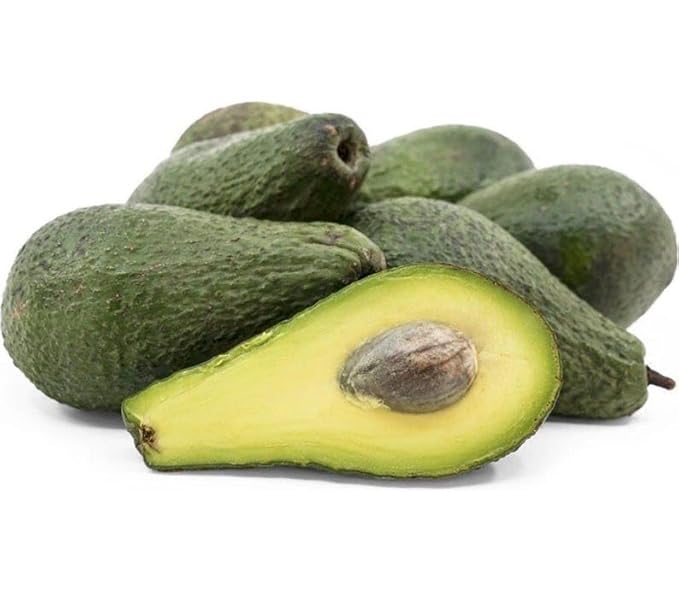 Avocado P Tee 10-24 in