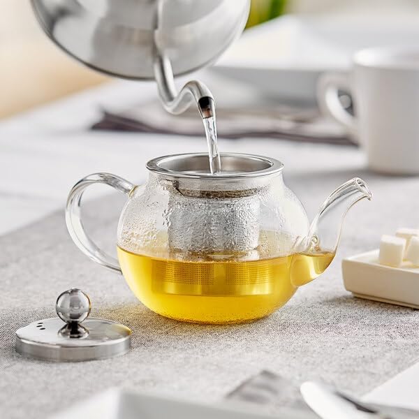Lotus Glass Teapot with Stainless Steel Infuser, Clear Borosilicate, 12 oz, Round, Dishwasher Safe