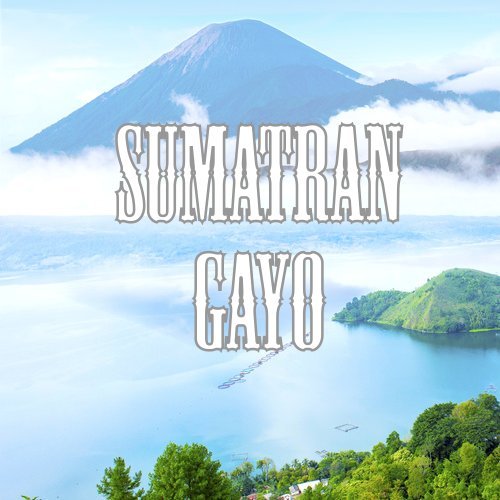 Sumatra Gayo Coffee, Ground, Low Acid, Fair Trade, Fresh Roasted, 5 lbs