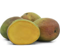 Mango K Tropical Tee 10-24 in
