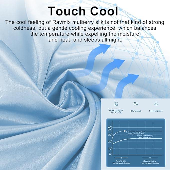 Silk Pillowcase for Hair and Skin with Hidden Zipper, Ravmix Both Sides 21Momme Mulberry Silk Cooling Pillow Case Queen Size 20×30inches, 1PCS, Light Blue