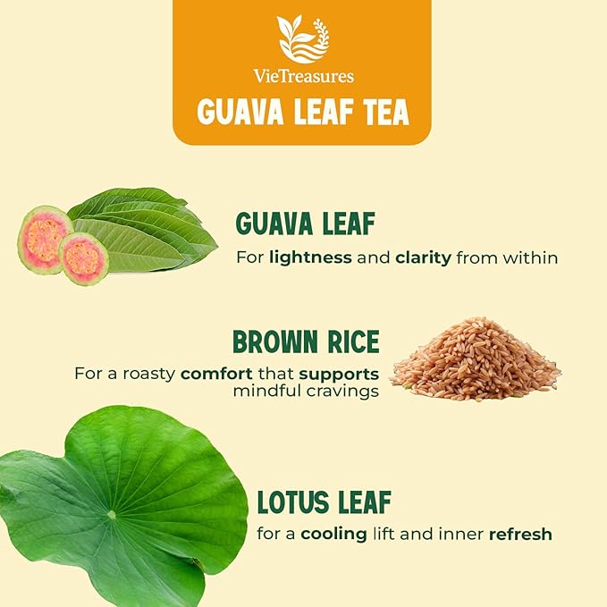 VieTreasures Guava Leaf Fit Tea - 40 Tea Bags | Herbal Tea for Digestion, Detox & Weight Balance | With Brown Rice, Lotus Leaf & Stevia | Caffeine-Free, Vegan, Sugar-Free, 2.8oz