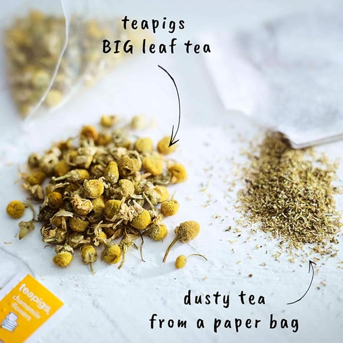 teapigs Chamomile Flowers Made with Whole Flowers (15 Count)