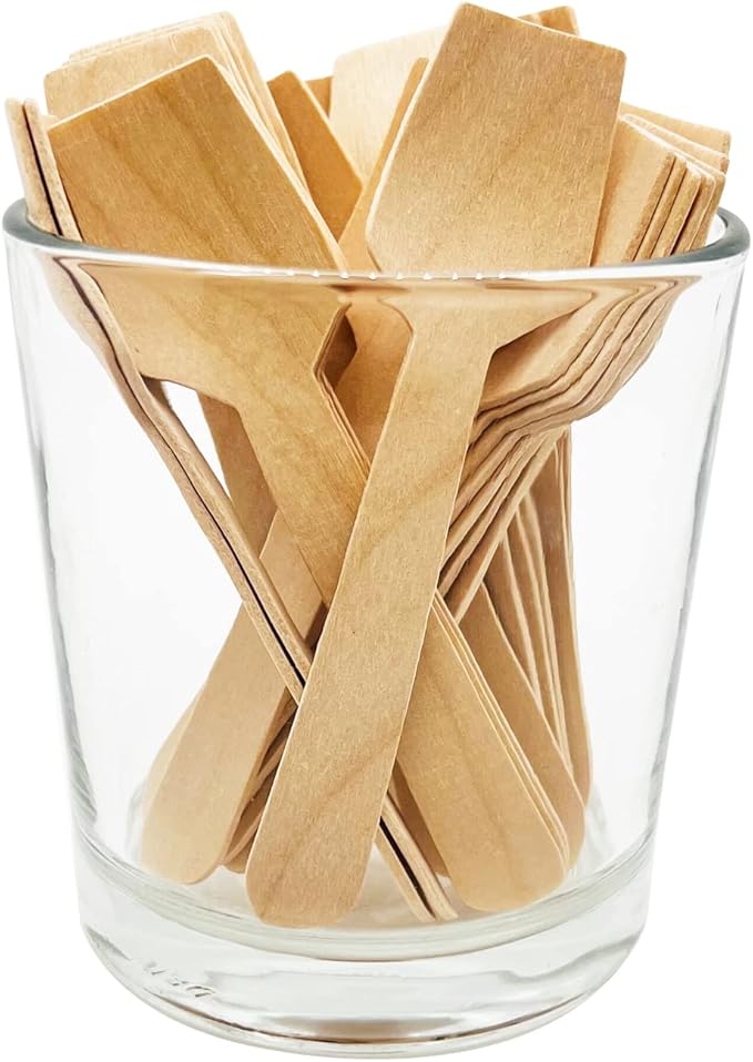 Mini Wooden Spoons, 200 Pcs 4 Inch Disposable Wooden Dessert Spoons, Biodegradable Compostable Birchwood