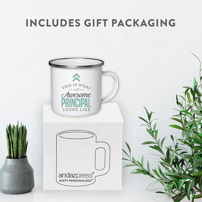 Andaz Press 11oz. Stainless Steel Campfire Coffee Mug Gift, This Is What an Awesome Principal Looks Like, 1-Pack, Includes Gift Box, Principal Cup for Drinking