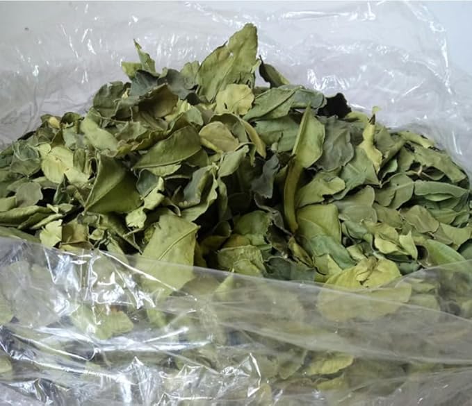 Dried Kaffir Lime Leaves from the USA – 100% Pure Whole Leaves for Thai Cuisine, No Additives, Grown and Packed in the USA (1.41oz)