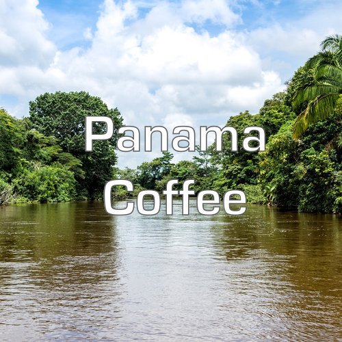 Panama Coffee, Boquete Region, Ground, Fresh Roasted, 16-ounce