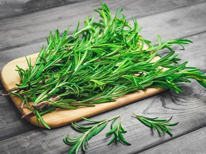 Fresh Rosemary Leaf Tea from the USA – 100% Pure, Wild-Harvested Herbal Loose-Leaf Tea, Caffeine-Free, No Additives, Grown and Packed in the USA (1/2oz)