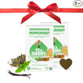 Tea Drops Lightly Sweetened Organic Tea Bulk Box | Sweet Peppermint | Caffeine Free | Iced or Hot Herbal Tea Beverages Gift Set | Includes Organic Peppermint Oil & Spearmint Leaves | 10 Drops per Box