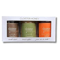 Cloister Honey Trios - Fan Favorite (3 x 3 oz) | Hand Crafted | Raw Artisan Honey | 100% Pure, Raw & Unfiltered | All Natural | Made in USA |