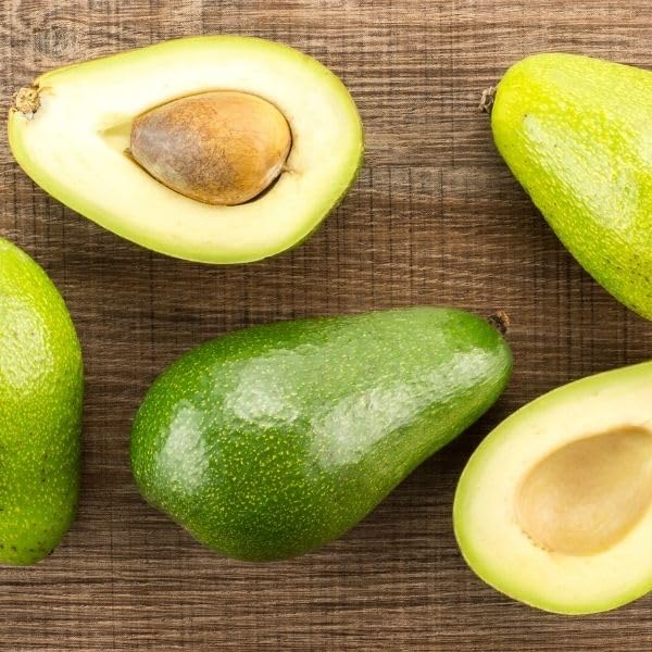 Avocado D Tee 1 ft