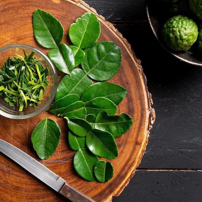 Fresh Kaffir Lime Leaves from the USA – 100% Pure, Wild-Harvested Herbal Loose-Leaf, Natural Aroma, Whole Natural Leaves for Thai Cuisine, Grown and Packed in the USA (100 Leaves)