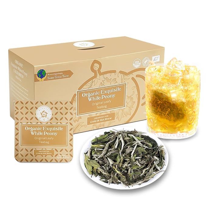 RIANTEA Organic White Tea Bag 36 Count - Cold Brew Loose Leaf Tea Bags, Biodegradable Corn Fiber Sachets, Full-Leaf, Eco-Conscious Iced Tea, Refreshing & Smooth Flavor